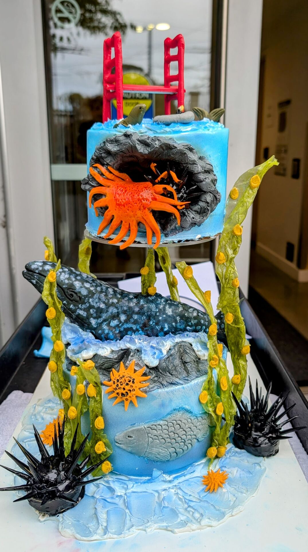 Los Altos siblings Naiel and Punhal Chaudry recently made this cake, above, for the KQED’s Science is a Piece of Cake bake-off. Naiel is a junior at Mountain View High School while Punhal is a freshman. The annual competition highlights fields of science through cake competition. This year focused on marine biology.
