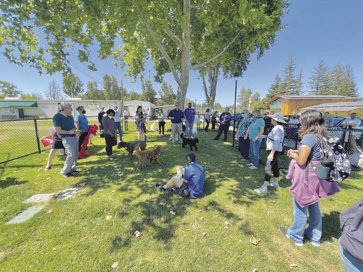 Local dogs and their owners gather for the opening of a temporary dog park at the civic center last June. The city is looking to build a permanent park farther back from the temporary location.