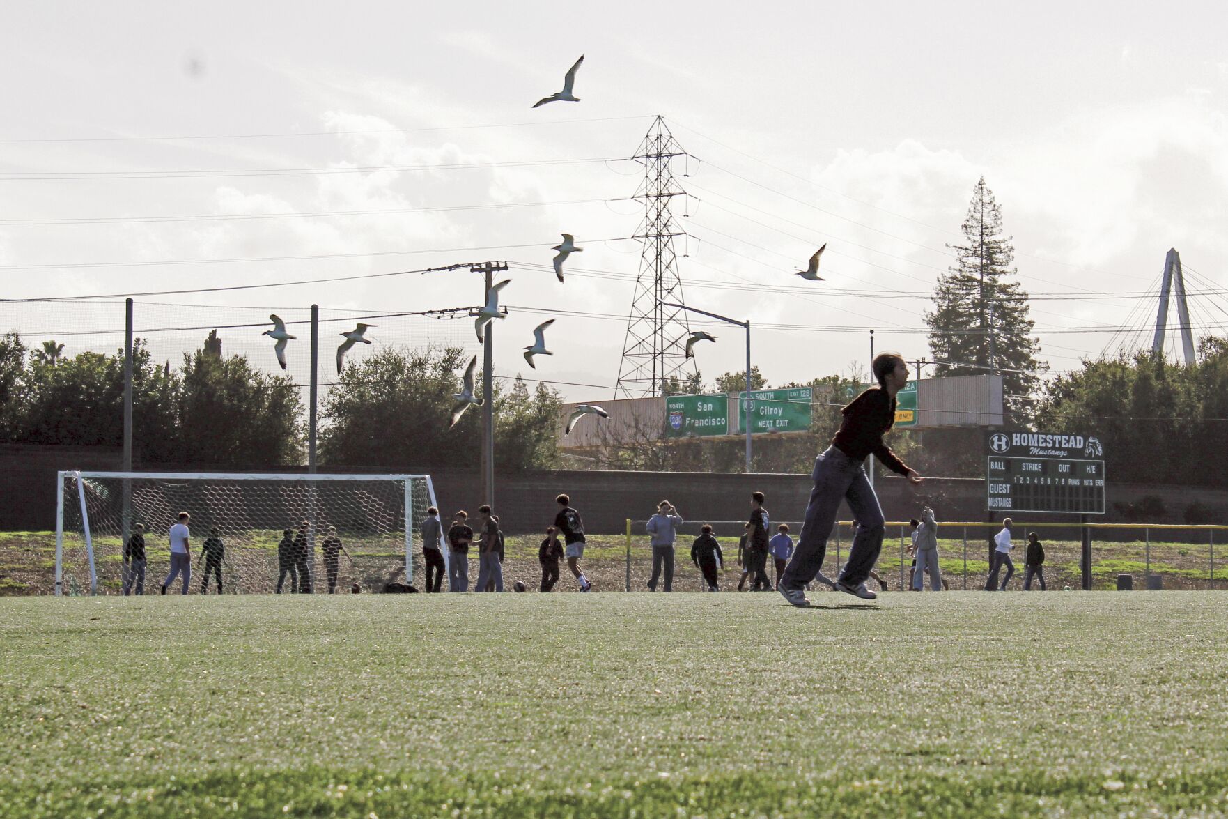 Homestead High, which serves students of south Los Altos, is one of the Fremont Union High School District schools with several fields due for renovation.