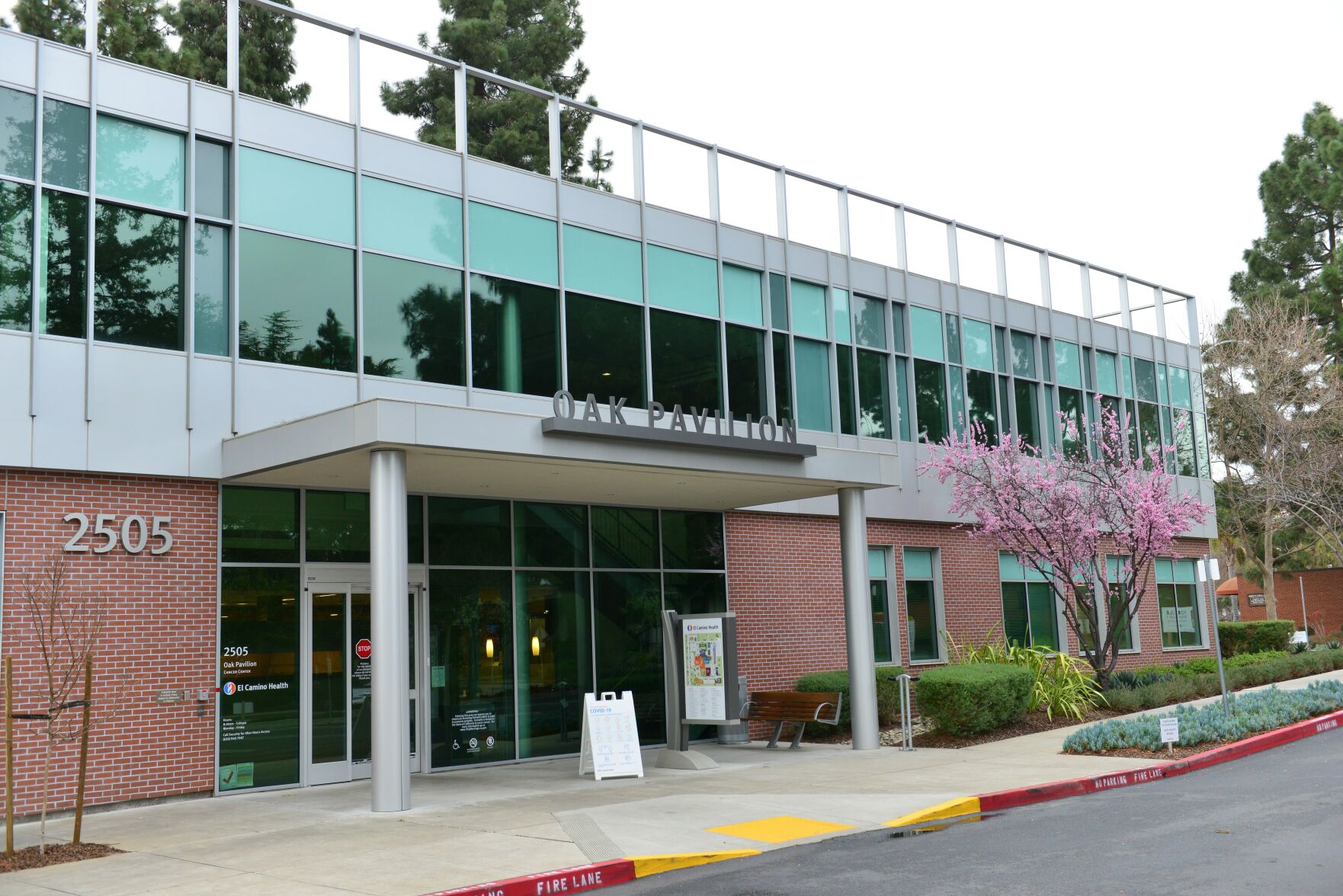 El Camino Health observes breast cancer awareness month