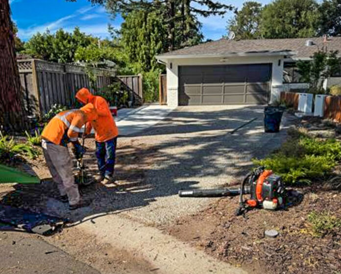 McFarlane says he spoke to these workers and filed complaints with the city twice the previous week about using a gas leaf blower at a home on the 1500 block of Queensbury Avenue, only to see them return last week, gas leaf blower in hand.