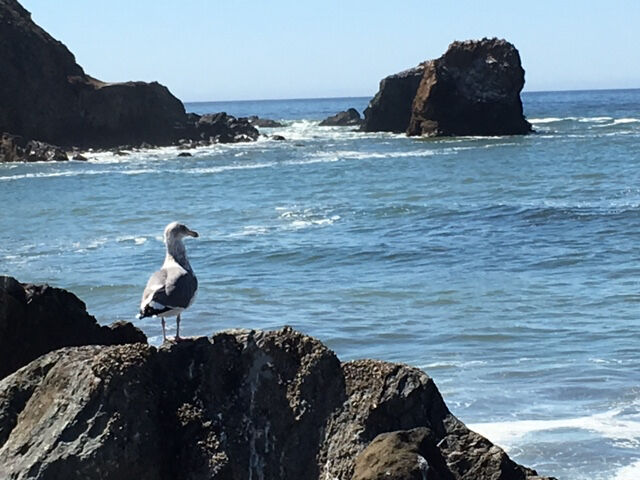 Try Pacifica for a day trip off the beaten path