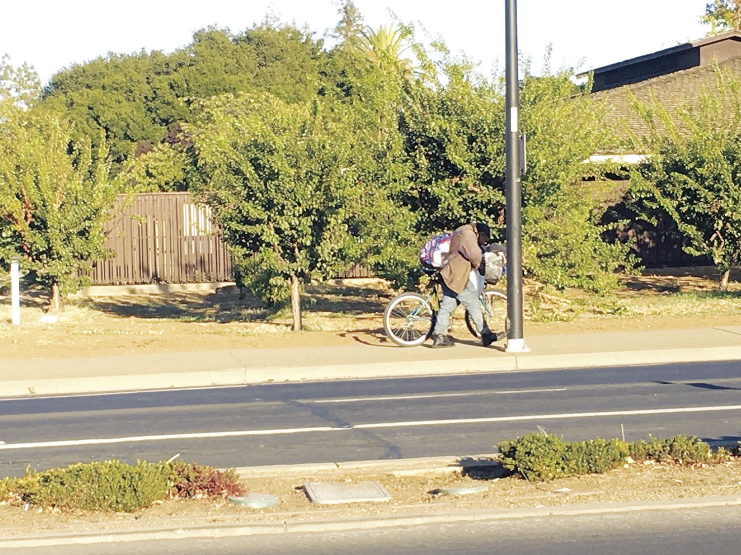 An unidentified man pushes a bike with his belongings in front of the Los Altos Civic Center orchard. Community Services Agency served 12 families and 18 individuals with Los Altos addresses in fiscal year 2021-2022, a small increase from previous years.