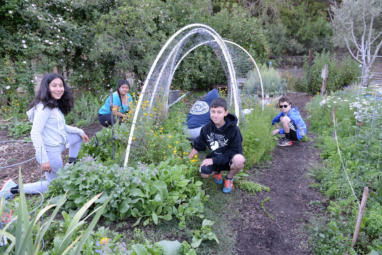 Hidden Villa Summer Camps aim to teach youth what it means to live in a community, and help them develop greater multicultural understanding and appreciation.